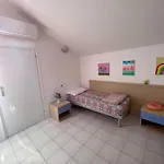 Alexa *