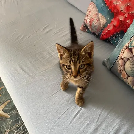 Alexa * Lignano Sabbiadoro